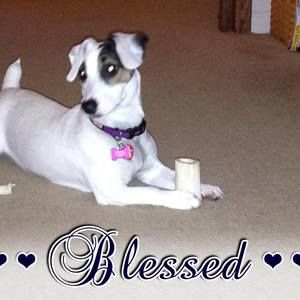 Meet your Posher, Gail